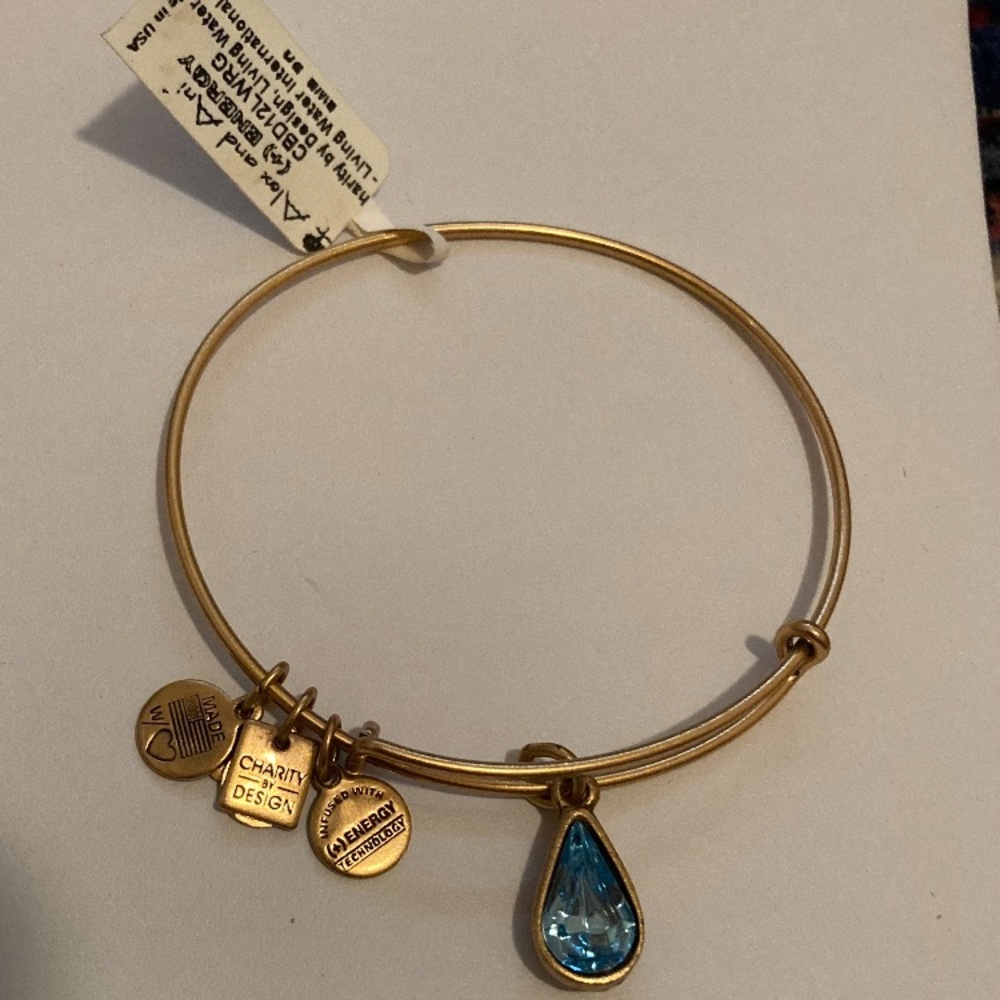 Alex and Ani Blue Charm Bracelet